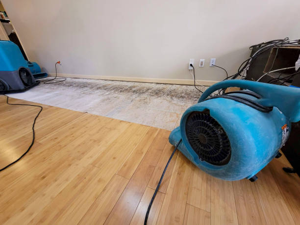 Professional Sewage Cleanup technician working in Camarillo, CA